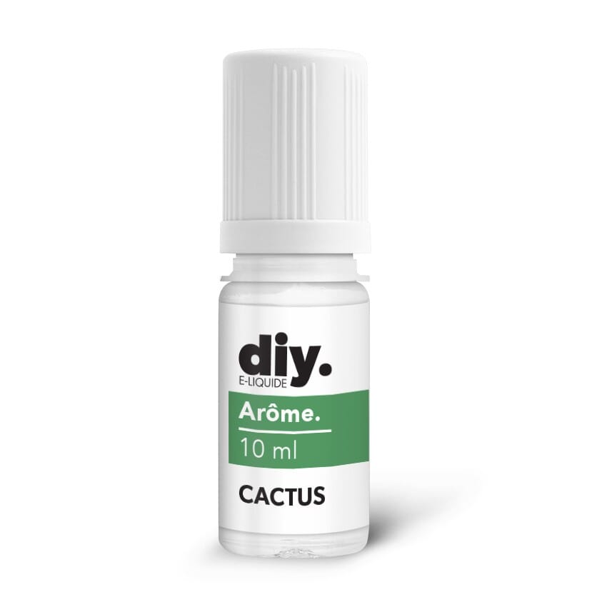 Cactus - DIY