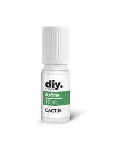 Cactus - DIY