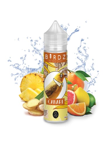 Canari - Birdz Canari - Birdz