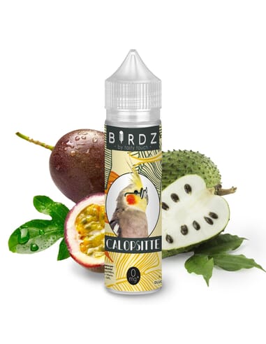 Calopsitte - BIRDZ by Tasty Touch Calopsitte - BIRDZ by Tasty Touch